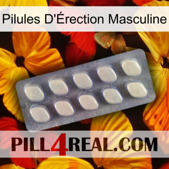 Male Erection Pills 08